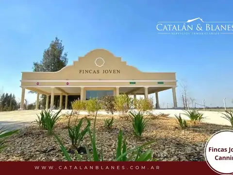 CANNING- FINCAS DE S VICENTE JOVEN