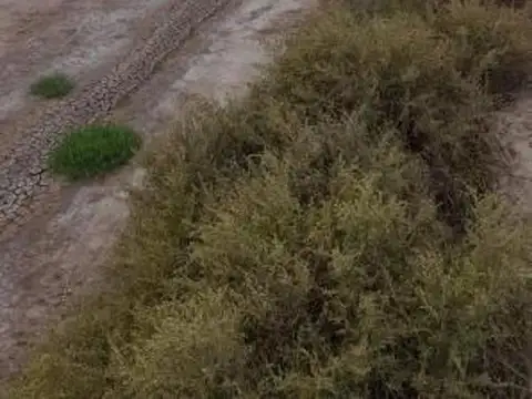 CAMPO GANADERO 2200 HECTAREAS EN LOGROÑO