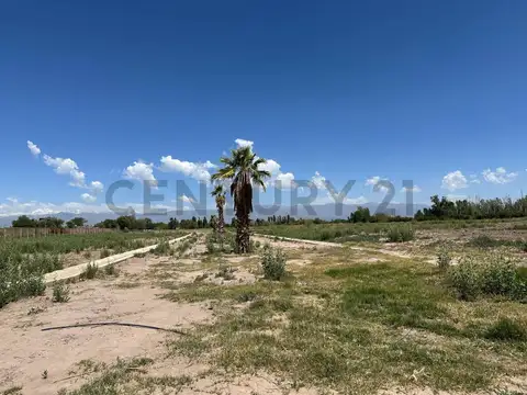 Milagros y Godoy Cruz