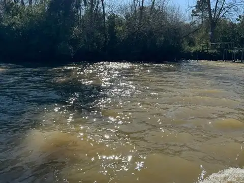 VENTA 33 HECT. RIO CARABELAS 1700 FRACC de ISLA