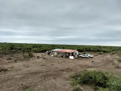 CAMPO GANADERO Oportunidad 1200 hectareas
