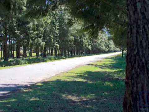 Terreno en Venta de 1710,0 m2