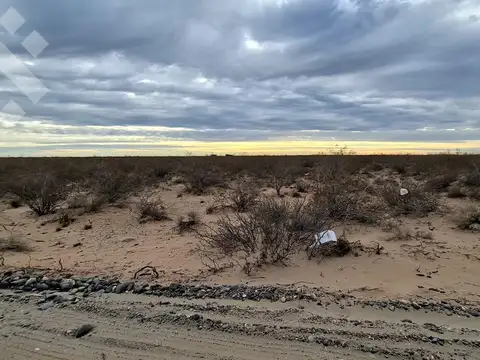 Venta 5 hectareas, ruta provincial 67, neuquén