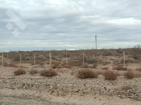Venta 5 hectareas, ruta provincial 67, neuquén