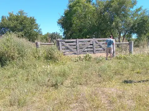 ENTRE RIO- VILLAGUAY- 500 HECTAREAS - REAL OPORTUNIDAD PARA INVERSORES