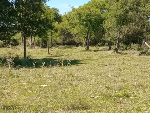 Campo en Venta de 500  ha