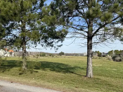 Terreno en Venta en Chacras De La Cruz