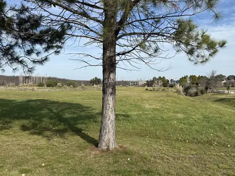 Terreno en Venta en Chacras De La Cruz