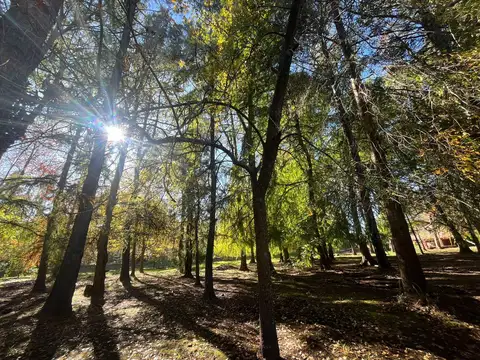 Terreno en Venta 460  mts Fondo