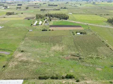 Venta Campo 7,99 Hectáreas Próximo a San Jacinto