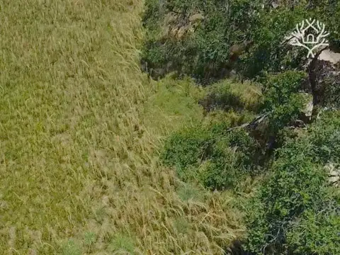 Terreno en Venta 40  mts Frente