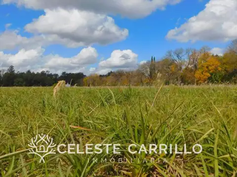 Terreno en Venta de 2095,0 m2