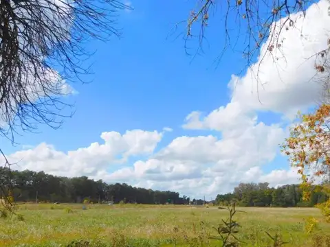 Barrio El Remanso - Exaltación de la Cruz
