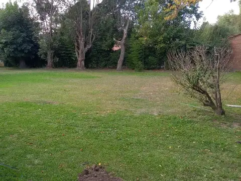 Quinta en Alquiler 40 años