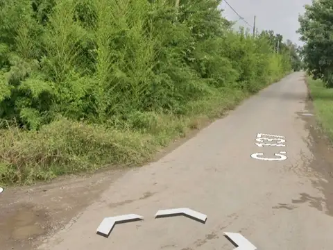 al 100