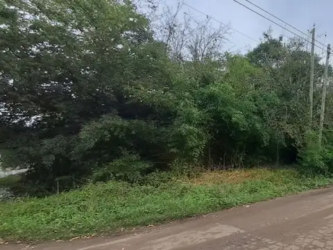 al 100