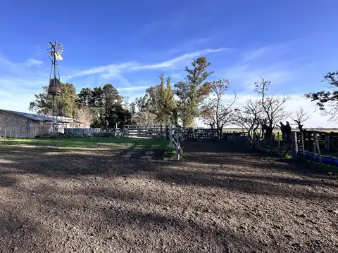 Terreno en Marcos paz, Gral Rodriguez. 125 Hectáreas.