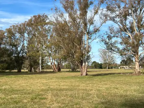 Terreno en Venta en Villa Alsina, USD 95.000