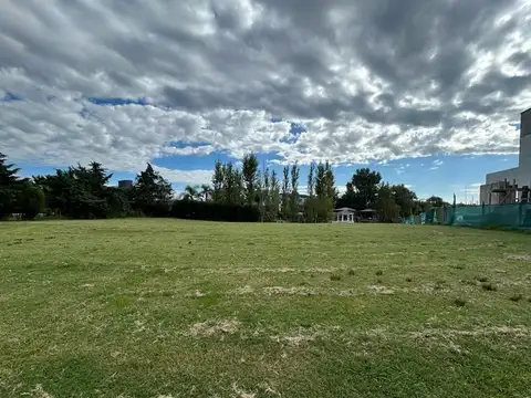 SAN MARCO VILLANUEVA 100