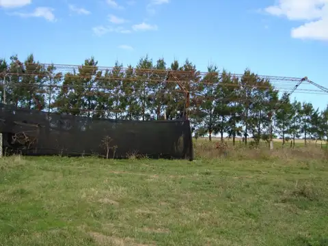 Quinta en Venta en Mar Del Plata, USD 420.000