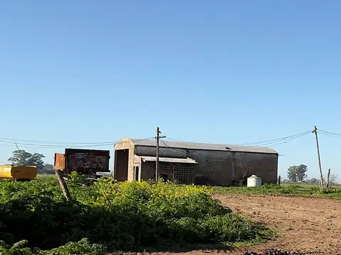 VENTA DE CAMPO EN VIRREY DEL PINO - 312 HECTÁREAS