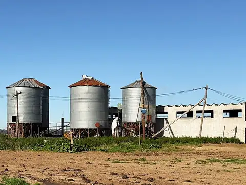 Calle Querandíes 3600