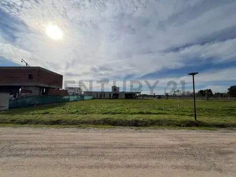 Terreno en Venta 40  mts Fondo