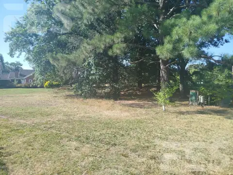Terreno en Venta 25  mts Frente