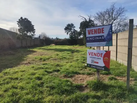 Terreno - Venta - Argentina, Veinticinco de Mayo