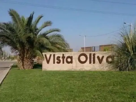Barrio Vista Oliva 100