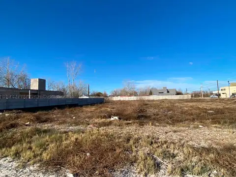 Terreno en Venta en General Roca, USD 14.000