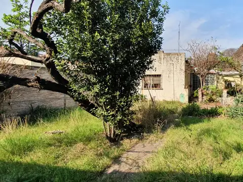 Morteo 20
