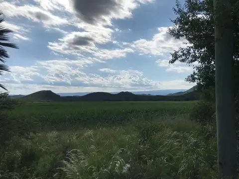 ESTANCIA DE BORDA 1448 SALSACATE POCHO