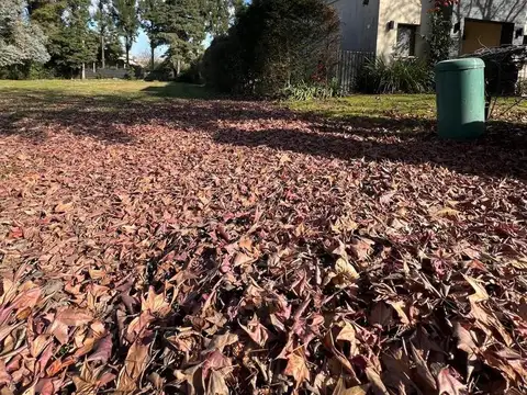 Terreno en La Delfina