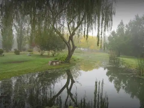 Campos de Roca