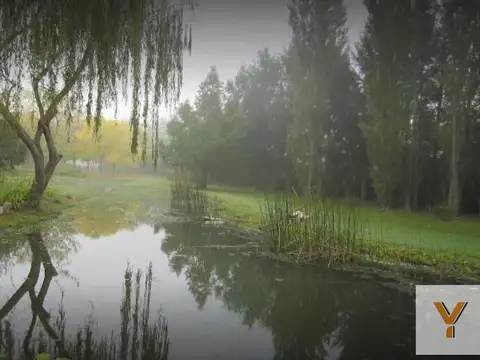Campos de Roca