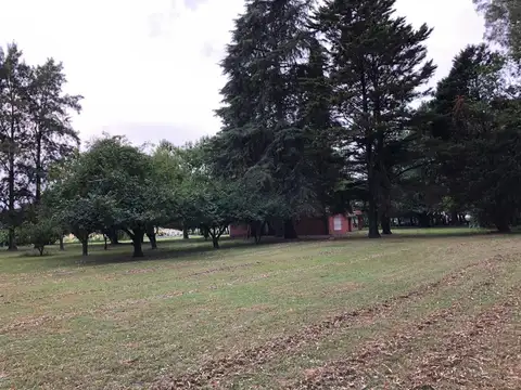 CAMPO EN VENTA 5 HECTAREAS EXALTACION DE LA CRUZ