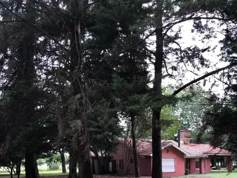 CAMPO EN VENTA 5 HECTAREAS EXALTACION DE LA CRUZ