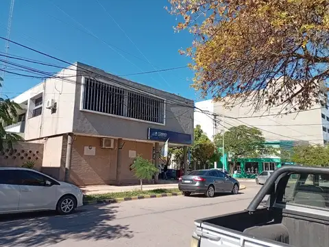 Belgrano 300