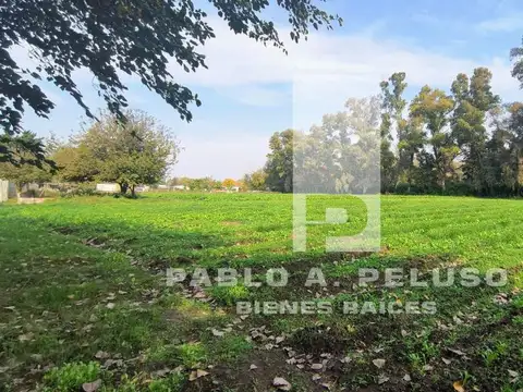 Terreno en Venta en Cuartel V, USD 15.000