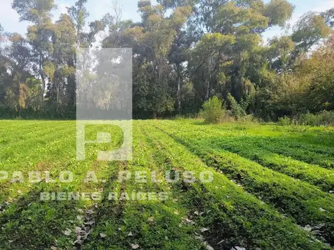 General Aráoz de Lamadrid 6300