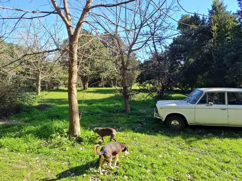 Quinta en B.Santa Julia