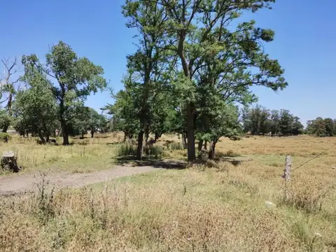 Juan Calchaquí 6535 , Piso 0