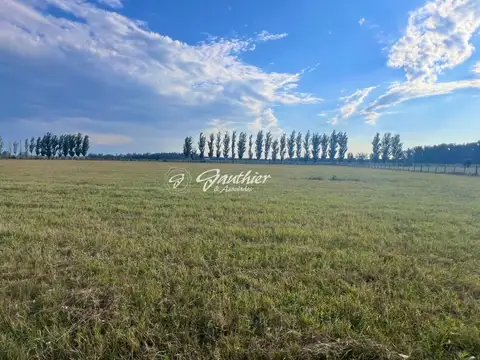 Terreno en Venta 140  mts Frente