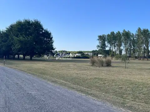 Terreno en Venta de 10000,0 m2