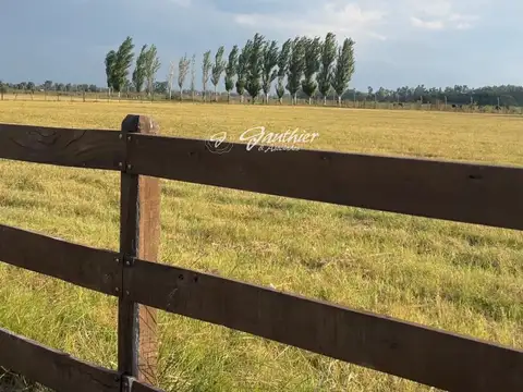 Terreno / Lote en venta de 10.000 m2 ubicado en Capilla del Señor