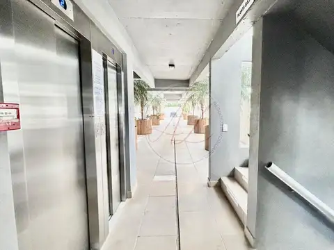 De Las Hespérides 1600, Piso PB