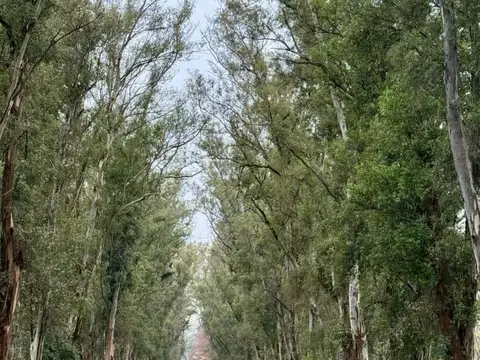 Chacras de San Andres