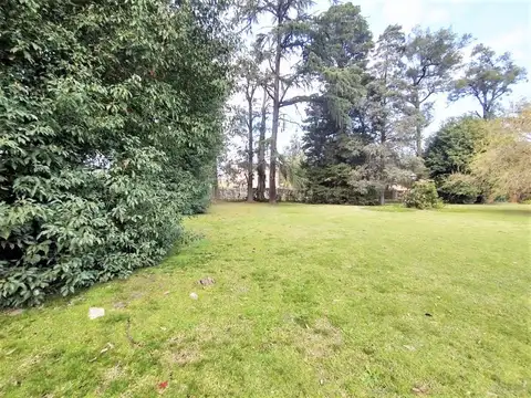 Terreno en Venta 29  mts Fondo