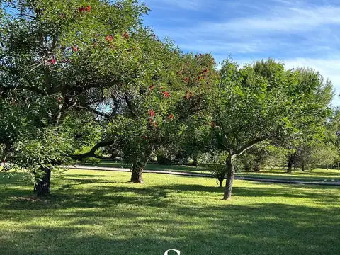 CHACRA 4 AMBIENTES EN VENTA LAS VIZCACHAS, LOS CARDALES